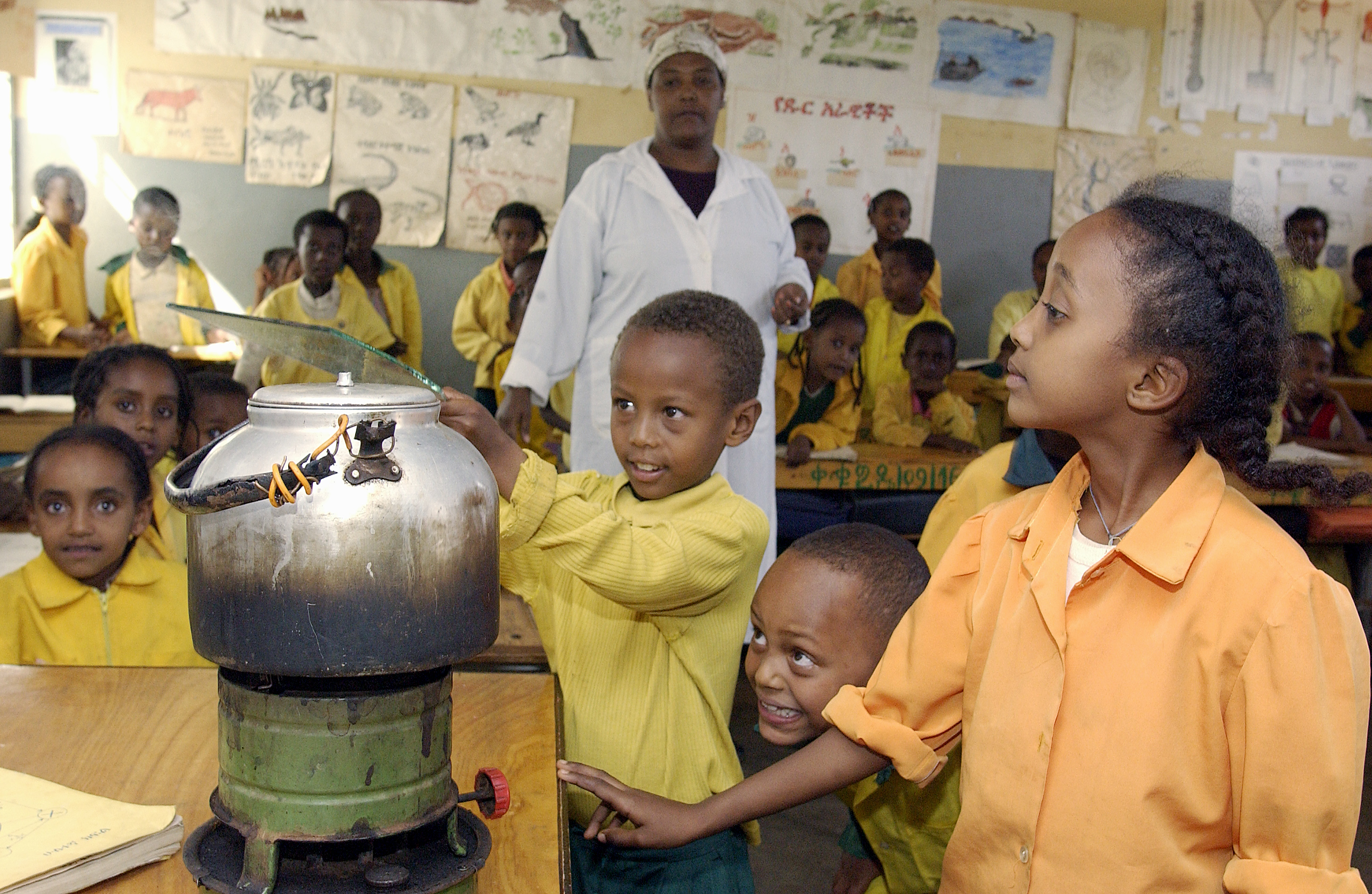 World Science Day Activities UNA UK