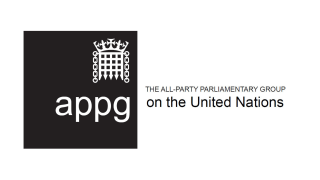 UN APPG logo