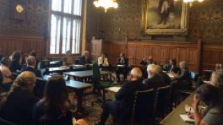 UNDP delegates discuss the future of development at UN APPG meeting