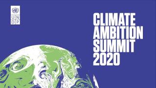 UK and UN host Climate Ambition Summit 2020