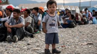 Child victims of trafficking: the human cost of European free movement