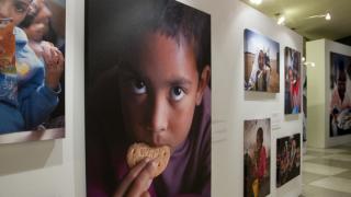 Hunger elimination is top priority for UN 