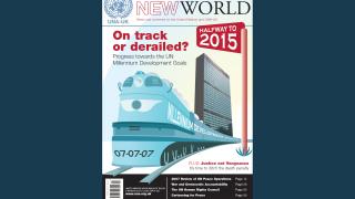 MDGs: on track or derailed?