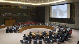 Natalie Samarasinghe: Security Council reform needs more impetus from powerful states