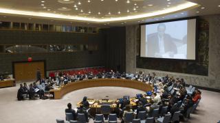 David Thomas calls for UN Security Council reform