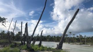 The threatened lagoonal environment of Kiritimati.