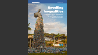 Cover of the report: Unveiling Inequalities, A spotlight on senior appointments at key UN environment and development bodies
